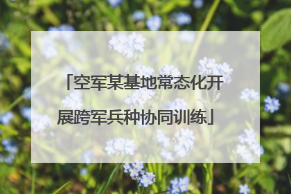 空军某基地常态化开展跨军兵种协同训练