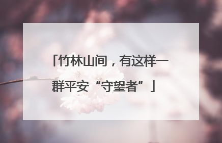 竹林山间，有这样一群平安“守望者”