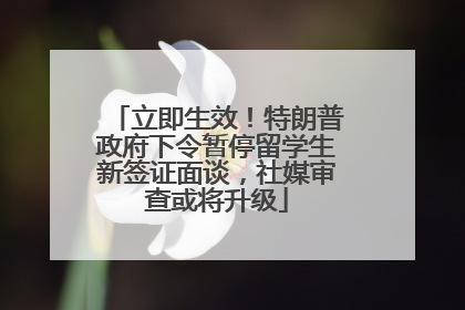 立即生效！特朗普政府下令暂停留学生新签证面谈，社媒审查或将升级