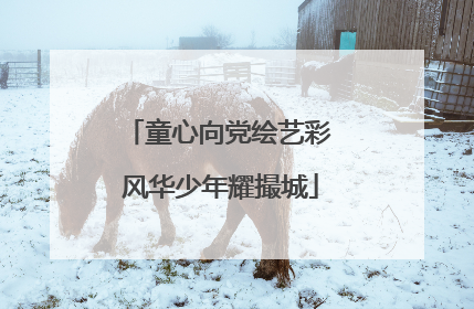 童心向党绘艺彩 风华少年耀撮城
