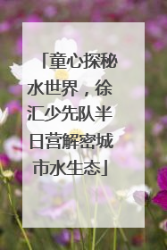 童心探秘水世界，徐汇少先队半日营解密城市水生态