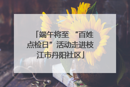 端午将至 “百姓点检日”活动走进枝江市丹阳社区