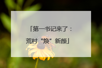 第一书记来了：荒村“焕”新颜