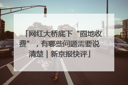 网红大桥底下“圈地收费”，有哪些问题需要说清楚｜新京报快评