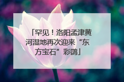 罕见！洛阳孟津黄河湿地再次迎来“东方宝石”彩鹮