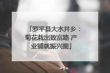 罗平县大水井乡：菊花栽出致富路 产业铺就振兴图