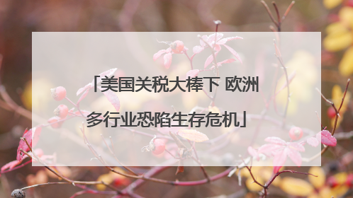 美国关税大棒下 欧洲多行业恐陷生存危机