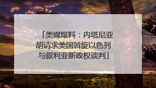 美媒爆料：内塔尼亚胡请求美国斡旋以色列与叙利亚新政权谈判