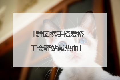 群团携手搭爱桥 工会驿站献热血