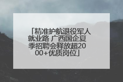 精准护航退役军人就业路 广西国企夏季招聘会释放超2000+优质岗位