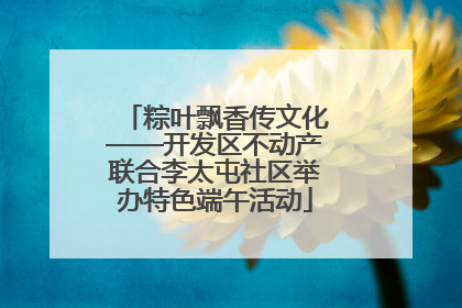 粽叶飘香传文化——开发区不动产联合李太屯社区举办特色端午活动
