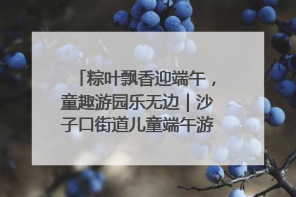 粽叶飘香迎端午，童趣游园乐无边｜沙子口街道儿童端午游园活动圆满落幕