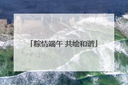 粽情端午 共绘和谐