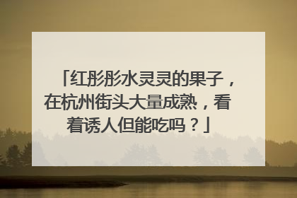 红彤彤水灵灵的果子，在杭州街头大量成熟，看着诱人但能吃吗？