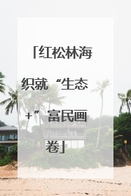 红松林海织就“生态+”富民画卷