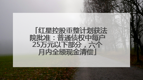 红星控股重整计划获法院批准：普通债权中每户25万元以下部分，六个月内全额现金清偿