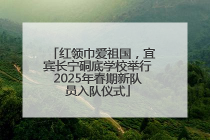 红领巾爱祖国，宜宾长宁硐底学校举行2025年春期新队员入队仪式