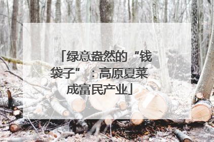 绿意盎然的“钱袋子”：高原夏菜成富民产业