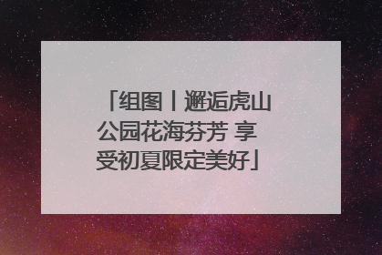 组图丨邂逅虎山公园花海芬芳 享受初夏限定美好