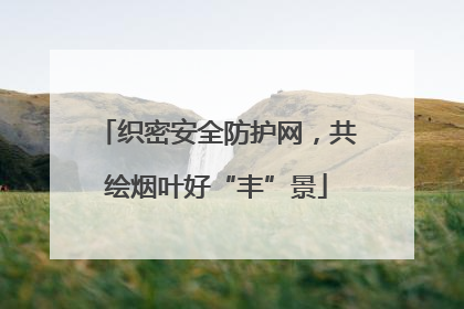 织密安全防护网，共绘烟叶好“丰”景