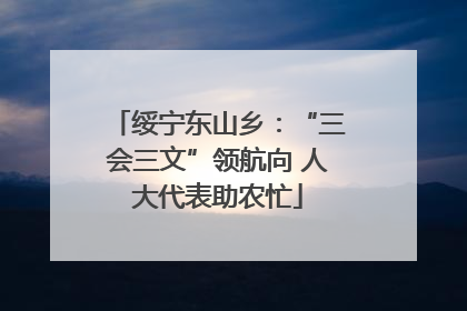 绥宁东山乡：“三会三文”领航向 人大代表助农忙