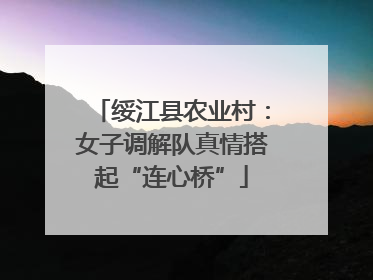 绥江县农业村：女子调解队真情搭起“连心桥”