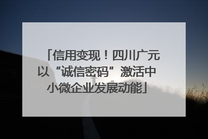 信用变现！四川广元以“诚信密码”激活中小微企业发展动能