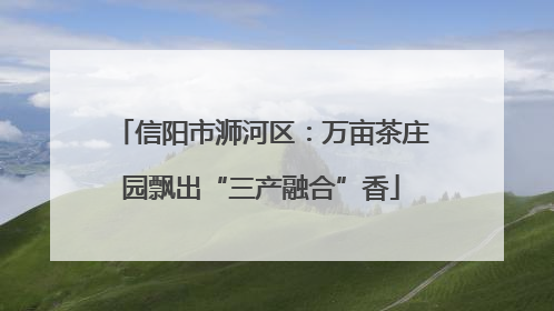 信阳市浉河区：万亩茶庄园飘出“三产融合”香