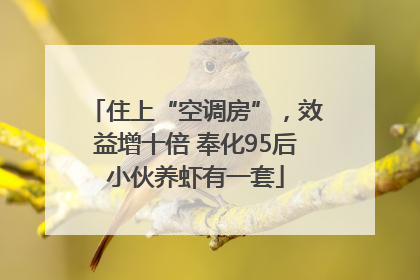 住上“空调房”，效益增十倍 奉化95后小伙养虾有一套
