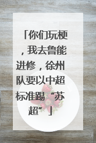你们玩梗，我去鲁能进修，徐州队要以中超标准踢“苏超”