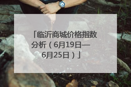 临沂商城价格指数分析（6月19日—6月25日）