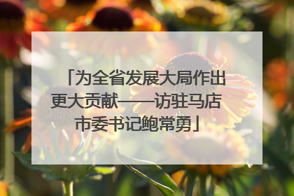 为全省发展大局作出更大贡献——访驻马店市委书记鲍常勇