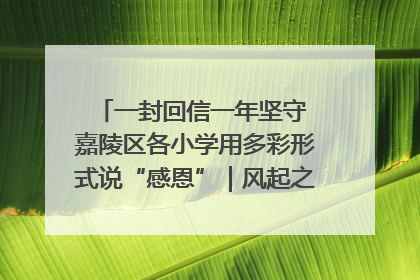 一封回信一年坚守 嘉陵区各小学用多彩形式说“感恩”｜风起之江 扶摇直上