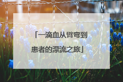 一滴血从臂弯到患者的漂流之旅