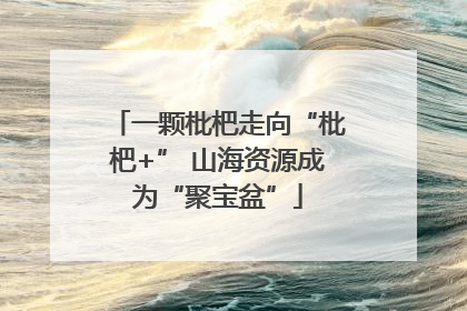 一颗枇杷走向“枇杷+” 山海资源成为“聚宝盆”