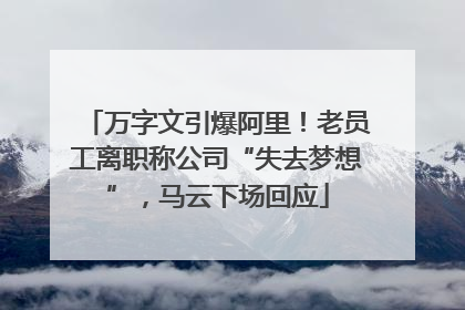万字文引爆阿里！老员工离职称公司“失去梦想”，马云下场回应