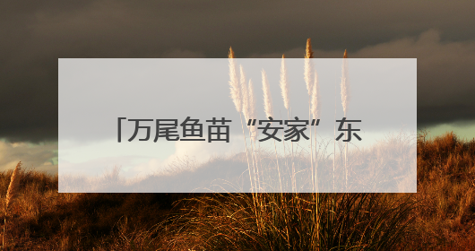 万尾鱼苗“安家”东海 浙江海洋增殖放流活动在台州启幕