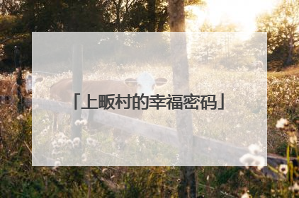 上畈村的幸福密码