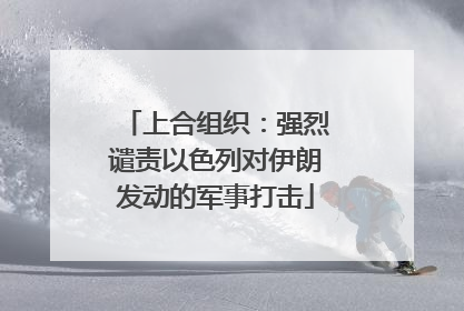 上合组织：强烈谴责以色列对伊朗发动的军事打击