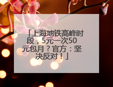 上海地铁高峰时段，5元一次50元包月？官方：坚决反对！
