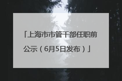 上海市市管干部任职前公示（6月5日发布）