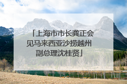 上海市市长龚正会见马来西亚沙捞越州副总理沈桂贤