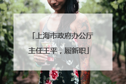 上海市政府办公厅主任王平，履新职