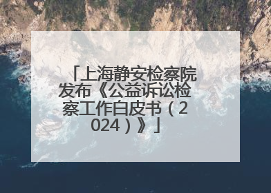 上海静安检察院发布《公益诉讼检察工作白皮书（2024）》
