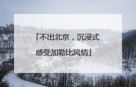不出北京，沉浸式感受加勒比风情