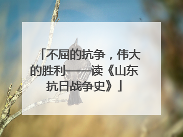 不屈的抗争，伟大的胜利——读《山东抗日战争史》