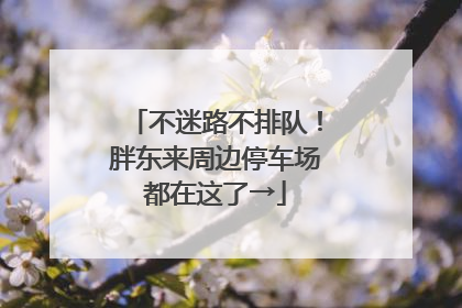 不迷路不排队！胖东来周边停车场都在这了→
