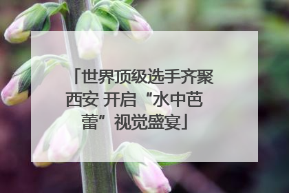 世界顶级选手齐聚西安 开启“水中芭蕾”视觉盛宴