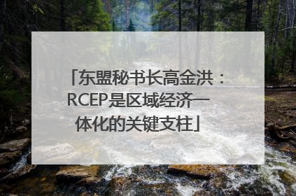 东盟秘书长高金洪：RCEP是区域经济一体化的关键支柱