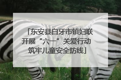 东安县白牙市镇妇联开展“六一”关爱行动 筑牢儿童安全防线